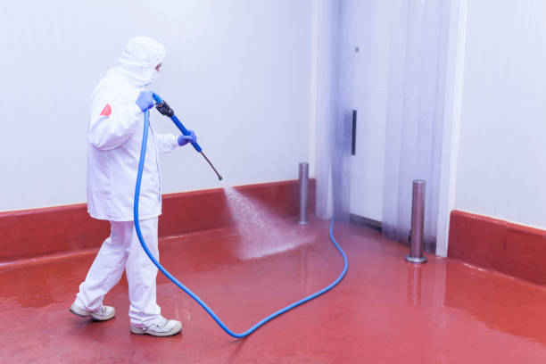 Best Parking Lot Cleaning in Richgrove, CA