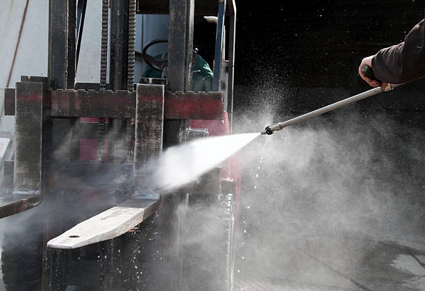 Best Roof Cleaning and Mildew Removal in Richgrove, CA